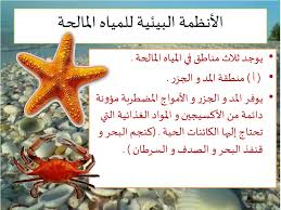 Ppt الانظمة البيئية المائية Powerpoint Presentation Id 6005854