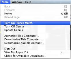 Connect your device to your computer with a usb cable, then open itunes and select your device. How To Setup Itunes Match On Iphone Ipad Correctly