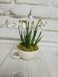 Spring Bouquet Of Snowdrops In A Cup Etsy In 2021 Pansies Flowers Cold Porcelain Flowers Spring Bouquet