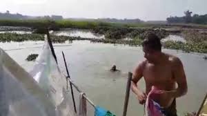 Use a level to make sure all the sides of the pond are even so the water doesn't flow out any low sides. Test Pond Water For Swimming How To Clean A Pond For Swimming How To Build A Swim Pond Youtube