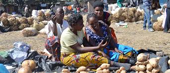 The tonga people are believed to be the oldest bantu settlers in zambia and make up approximately 15% of the population. Zambia At The Forefront On Data For Health Division Of Global Health Protection Global Health Cdc