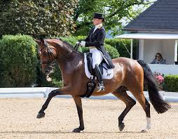 Jun 26, 2021 · isabell werth ist beim. Isabell Werth Quantaz Win Kronberg Cdi4 Grand Prix For Freestyle On 80 In Final Event For German Olympic Team Selection Dressage News