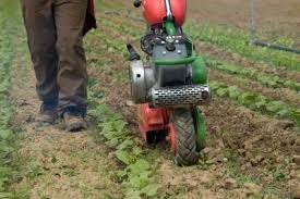 We did not find results for: Do Tillers Need Sharpening