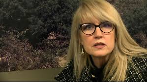 Wild horses up for adoption