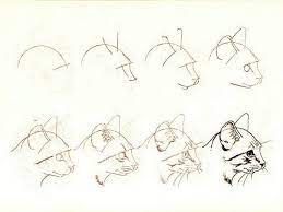 risuem kota poetapno 0 eskizy zhivotnyh risunki zhivotnyh koshachij risunok