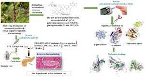 Image result for Ammannia aegyptiaca