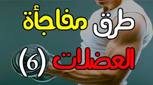 التدريب الهرمي و سوبر ست و دروب سيت كمال الاجسام للمبتدئين 6 Nosteroids Healthy Diet Recipes Healthy Diet Diet Recipes