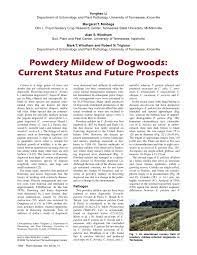 Using quality ingredients and components, we provide ranges of unique, innovative, specialist products especially developed to enhance the wellbeing of your pets. Pdf Powdery Mildew Of Dogwoods Current Status And Future Prospects