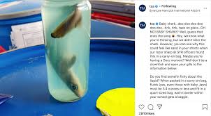 To me, a liquid would flow at room yes you can bring food through security as long as it is not a liquid. Tsa Instagram Says Baby Shark Doo Doo Doo Doo Doo Can T Fly