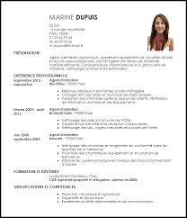 Cv Agent D Entretien Exemple Cv Modele Cv Cv Type