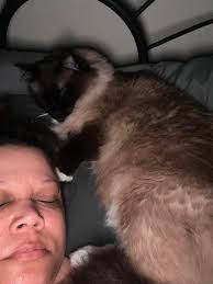 My sweet boy has to sleep