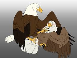 Rule34 - If it exists, there is porn of it   5781357