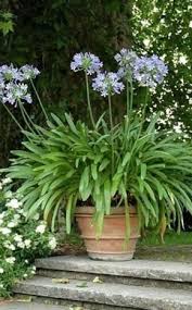 Garten Fur Faule Viel Spass Wenig Arbeit Garten Garten Ideen Bepflanzung
