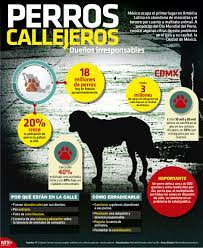 A Proposito Del Diamundialdelperro Sabiasque El Primer Lugar En Latinoamerica En Abandono Origen Del Lenguaje Dia Mundial Del Perro Metodos De Aprendizaje