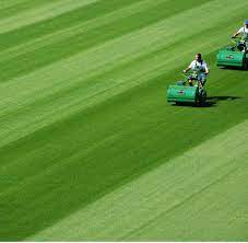Actus simple messieurs simple dames double messieurs double dames palmarès simple messieurs palmarès simple dames palmarès double messieurs palmarès double dames les français. Garten Rasentipps Vom Wimbledon Gartner Welt