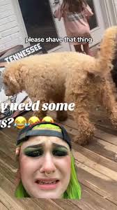 serious jump scare  #doodle#matteddog#brushyourdog#greenscreen#fyp#foryoupage#fypシ