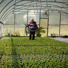 Maybe you would like to learn more about one of these? Plant Arrival Schedule Homestead Garden Center Williamsburg Va S Favorite Flower Garden Supply Center