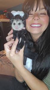 She's smiling. 😃 #viral #opossumsoftiktok #opossum #costume #fyp #cute  #skunk