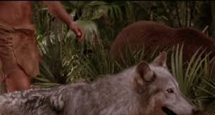 Rudyard kipling's classic tale of mowgli, the orphaned jungle boy raised by wolves, and how he becomes king. Rudyard Kipling S The Jungle Book The Game Of Nerds