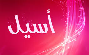 معنى اسم اسيل اسيل معناه فى اللغة العربية كيوت
