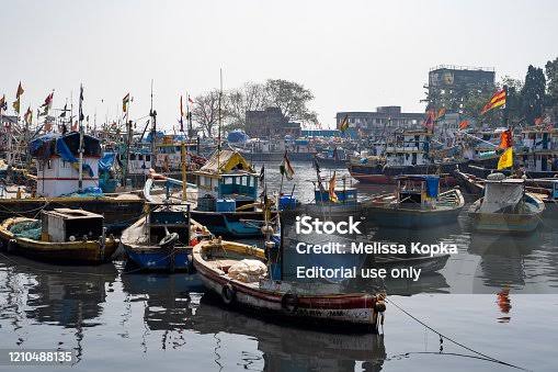 150+ Fishing Harbour In Mumbai Stock Photos, Pictures & Royalty-Free Images - iStock