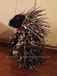 Anyone have experience raising baby porcupines? Homemade Prickly Toddler Porcupine Costume For A Girl