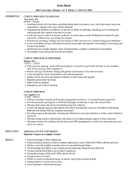 client services resume samples velvet
