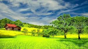 Hd 1080p Beautiful Green Nature Scenery Video Royalty Free Landscape Vi Beautiful Nature Wallpaper Beautiful Nature Cool Landscapes
