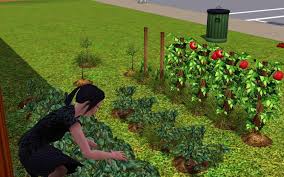 These can be opened by your sim and planted to earn a bit of side income. The Sims 3 Gardening Guide Fertilizer Secrets Tips And Help