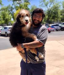 Activityhero reaches local san diego families through our weekly email newsletter and searchable calendars. Dog Training Elite In Home Dog Trainer In San Antonio