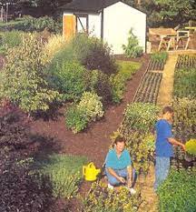Starting A Profitable Backyard Nursery Business Organic Gardening Mother Earth News Backyard Plants Organic Gardening Plants