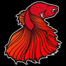 Red Betta Fish Cartoon Art Artwork Illustration Png Transparent Clipart Image And Psd File For Free Download In 2020 Betta Fish Artwork Betta
