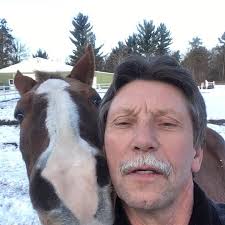 What are some ideas for building a saw shed?