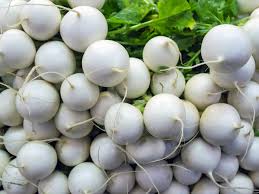 Hailstone Radish Seeds Heirloom Hometown Seeds