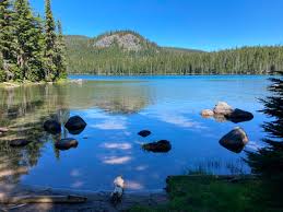 Mink Lake Mosquitoes 7/13/22