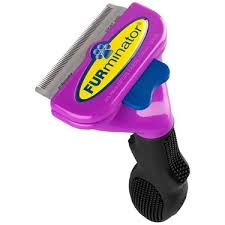 Furminator New Short Hair Kisa Tuylu Kediler Icin Tuy Taragi Fiyati