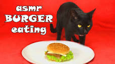 My black cat eating CAT BURGER asmr - YouTube