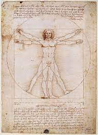 Leonardo Da Vinci S Vitruvian Man Explained Da Vinci Vitruvian Man Da Vinci Painting Vitruvian Man