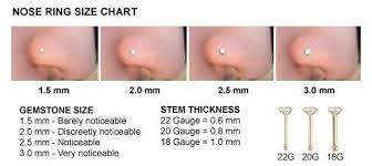 Nose Ring Nose Ring Sizes Nose Piercing Piercing Chart