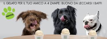 Immagine correlata