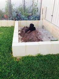 As an alternative, consider a fencing material that matches your landscape style, whether you're opting for a fully enclosed yard or a dog run. 57 Backyard Ideas For Dogs Dog Yard Dog Playground Dogs