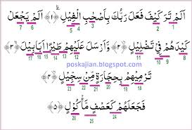Tidakkah engkau (muhammad) perhatikan bagaimana tuhanmu telah bertindak terhadap pasukan bergajah? Hukum Tajwid Al Quran Surat Al Fiil Ayat 1 5 Lengkap Latin Arti Dan