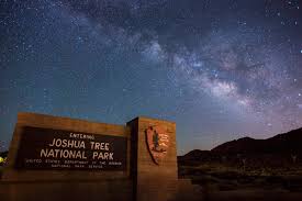 How To Plan A Joshua Tree Stargazing Trip In 2021 Space Tourism Guide