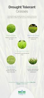 Maybe you would like to learn more about one of these? Landscape Supply Bakersfield Drought Tolerant Grasses