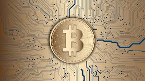 Best cryptocurrency to invest in 2021. The Best Books To Learn About Bitcoin In 2021 Level Up Coding