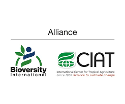 Food and agriculture organization logo united nations, flounder, trademark, logo, agriculture png. Welcome To The 4 Per 1000 Initiative 4p1000