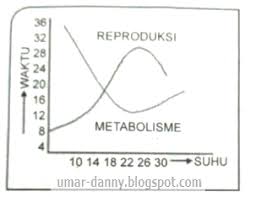 Contoh Soal Uts Pts Biologi Kelas Xii Semester 1 Kurikulum 2013 Beserta Jawaban Part 3 Kumpulan Soal Materi Sekolah