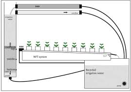 The nft structure is designed in such a way that the roots of large crops can't handle the weight accordingly. Bacterial Community Composition Of Recycled Irrigation Water Of A Nft Experimental System With And Without A Slow Sand Filter Biorxiv