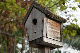 Geological survey gives easy instructions and diagrams to show how you can build a nesting. 10 Creative But Simple Diy Birdhouses To Make With Your Kids