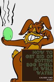 How To Get Rid Of Rotten Egg Smell In Well Water Gridsub Com In 2020 Water Well Well Water System Rotten Egg
